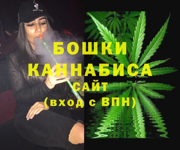 сатива Арсеньев