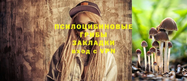 ешки Алексеевка