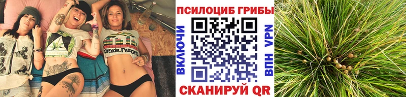 что такое   ОМГ ОМГ ONION  Галлюциногенные грибы Psilocybe  Гуково 
